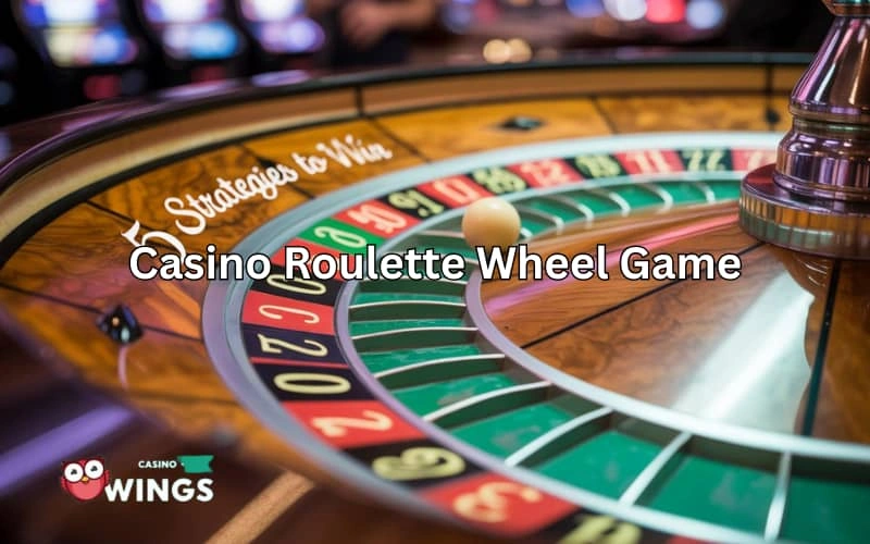 casino roulette wheel game